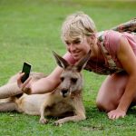 Few Tips On How To Help Kangaroos On A Trip To Australia