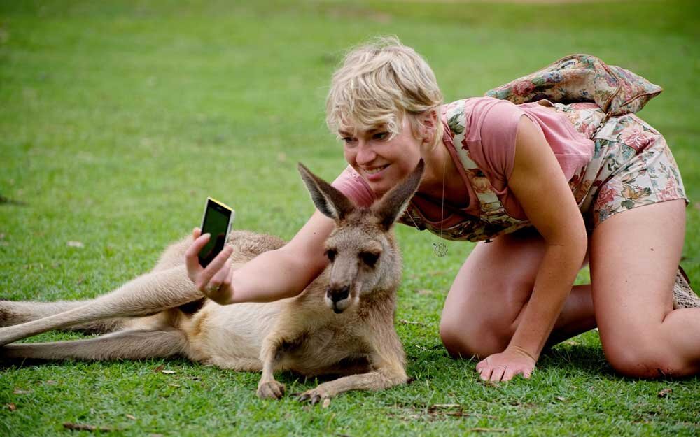 Few Tips On How To Help Kangaroos On A Trip To Australia